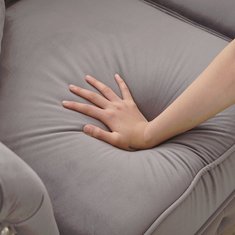 FX 63.5" Modern Design Chesterfield Sofa, Velvet Sofa Button Design Living Room Sectional Sofa, Button Tufted With Nail Design Arms With 2 Pillows, Upholstered Fabric And Wood Legs