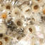 Centre de table naturel Vickerman