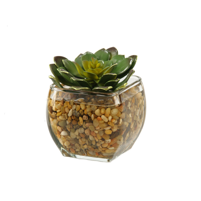 Faux Echeveria Plant in Glass Decorative Vase, Large