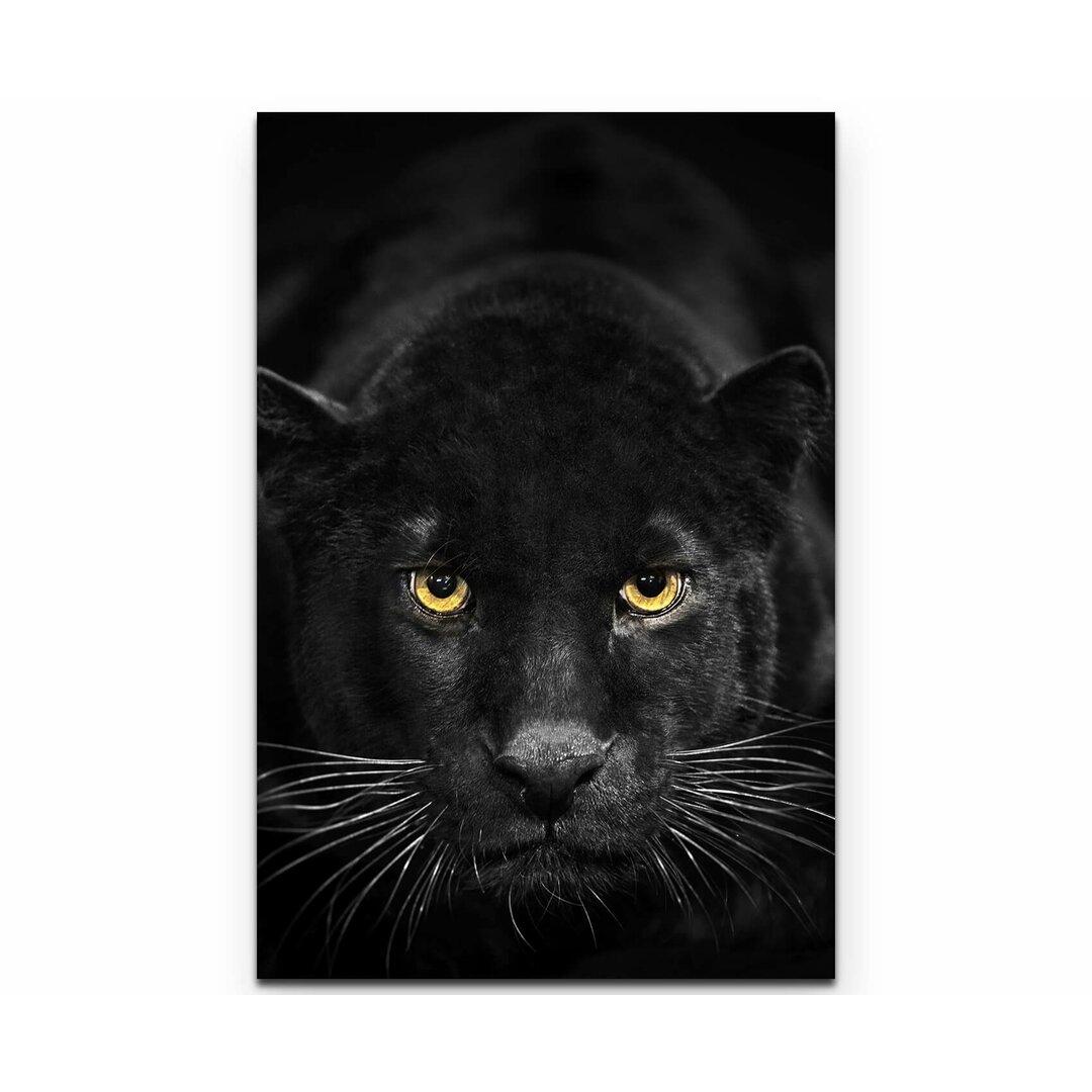 Leinwandbild Schwarzer Panther