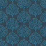 Beach Coral - Midnight Sky Wallpaper