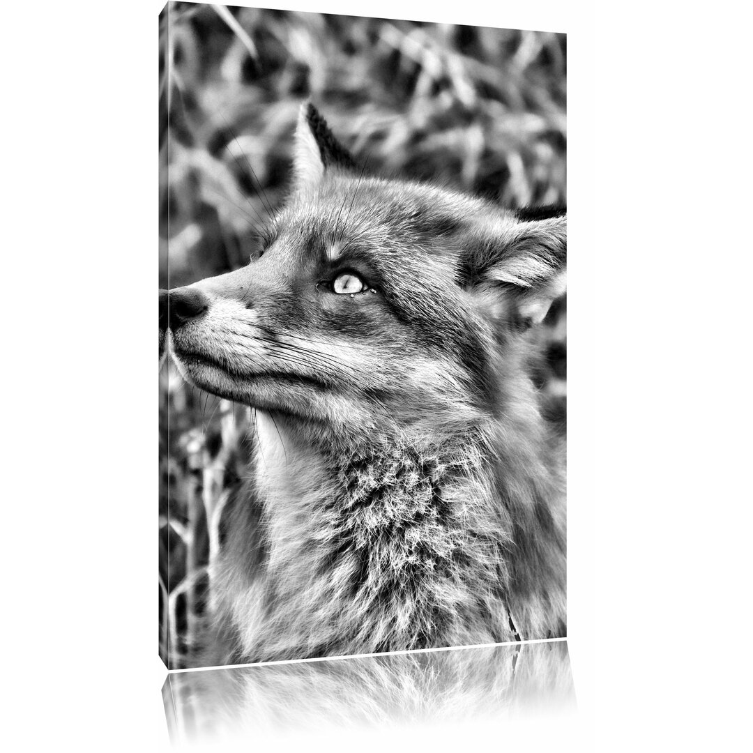 Leinwandbild Fuchs auf Wiese in Monochrom