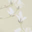 Laura Ashley Magnolia Grove Wallpaper Roll-698534374