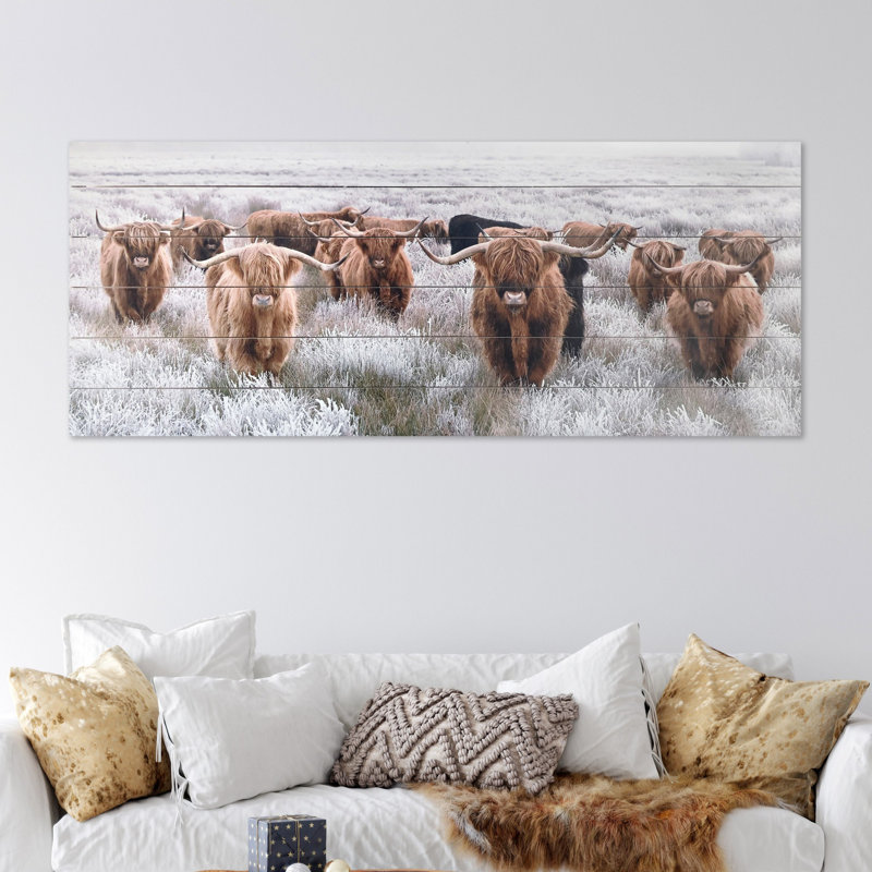 Highland Herd Photographic Print on Planked Fir Wood Wall Art