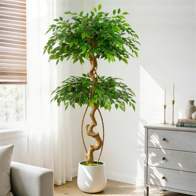 5FT 60" Artificial Spiral Ficus Tree in White Planter | Ficus Tree Artificial, Artificial Faux Tree, Realistic Artificial Ficus Trees Indoor Floor Decor for Bedroom/Study/Apartment/Corner, Anti-Tipping Compact Faux Plant 