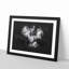Cocker Spaniel - Framed Print-56916798-56916801