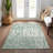 Aleighna Area Rug with Non-Slip Backing-16458442