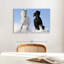 Chevaux frison d'hiver-107471580