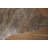 Hageman Light Brindle Cowhide Area Rug