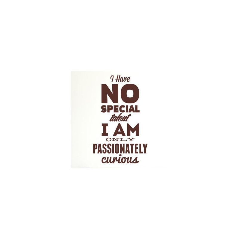 Non-Wall Damaging Wall Decal, Brown, Large