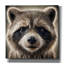  «Raccoon Portrait» par Rey Klimt, art mural sur toile