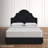 Avione Upholstered Standard Bed-548878303-548877861