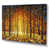 Wrapped Canvas