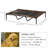 Bundy Elevated Cot-2114730106-2114730107