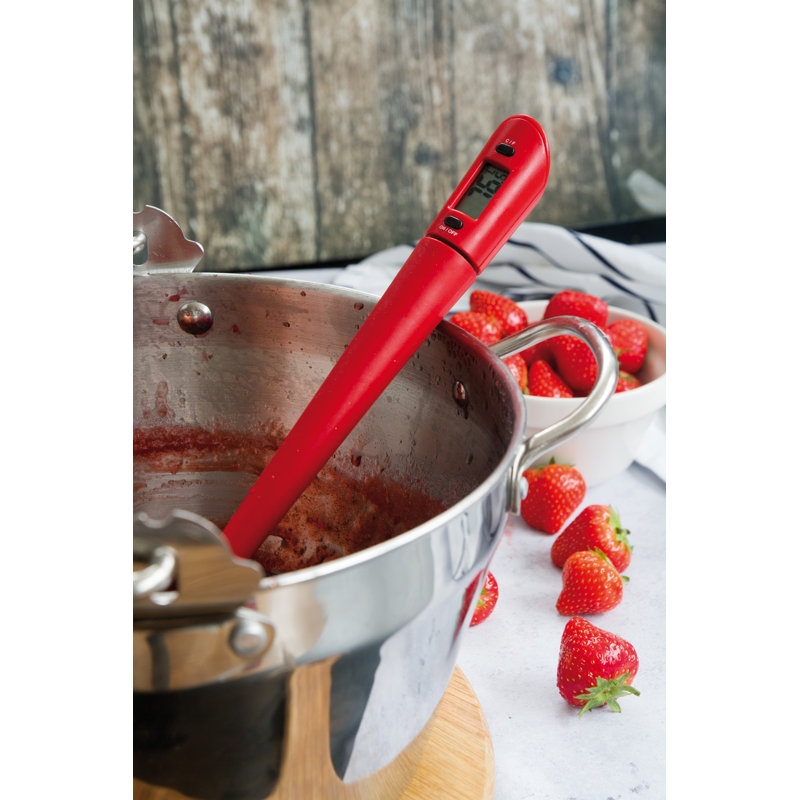 Home Made Thermometer