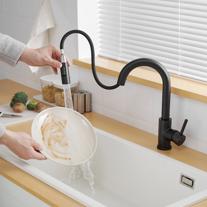 FLG Kitchen Faucet, Black