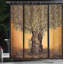Ensemble de rideau de douche arbre de vie et crochets-44243432