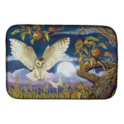Tapis de séchage Barn Owl dans le verger de pommes