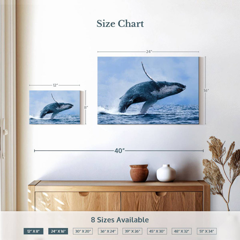 Brampt Leaping Humpback Whale, 16" H x 24" W