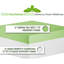 Très grand thé blanc - Matelas en mousse à mémoire de forme de la collection Herbal Fusion avec 3 pouces pour l'alignement de la colonne vertébrale et 7 supports favorisant