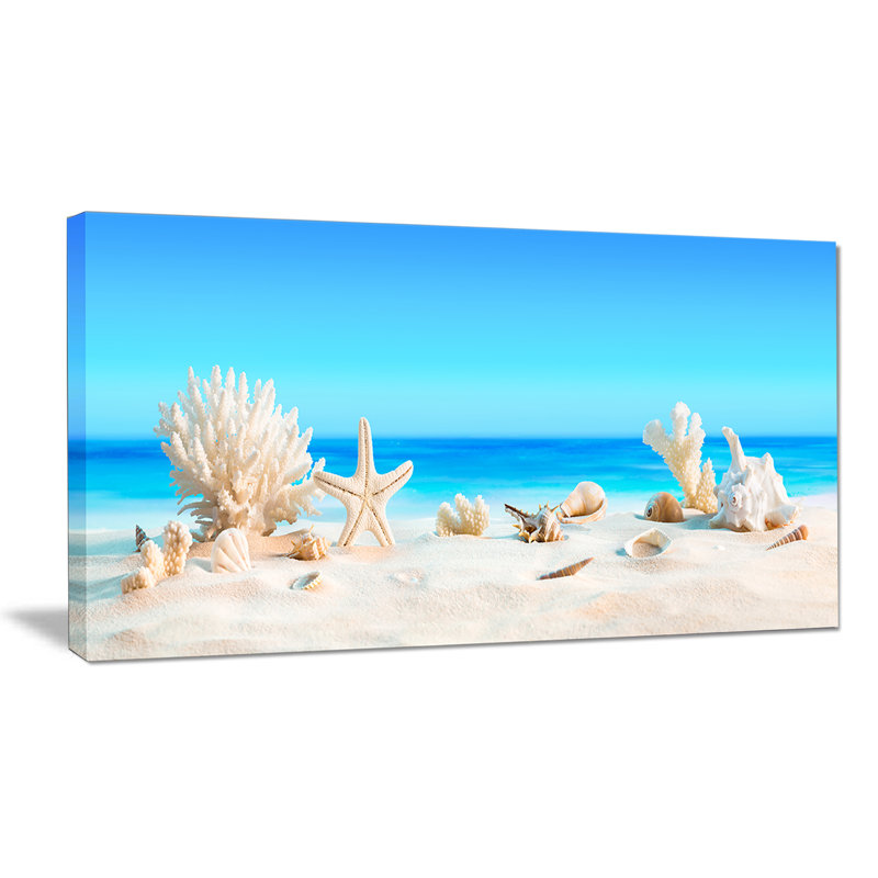 Risa Seashells on Tropical Beach' Graphic Art, Wrapped Canvas, 30" H x 40" W x 1.5" D