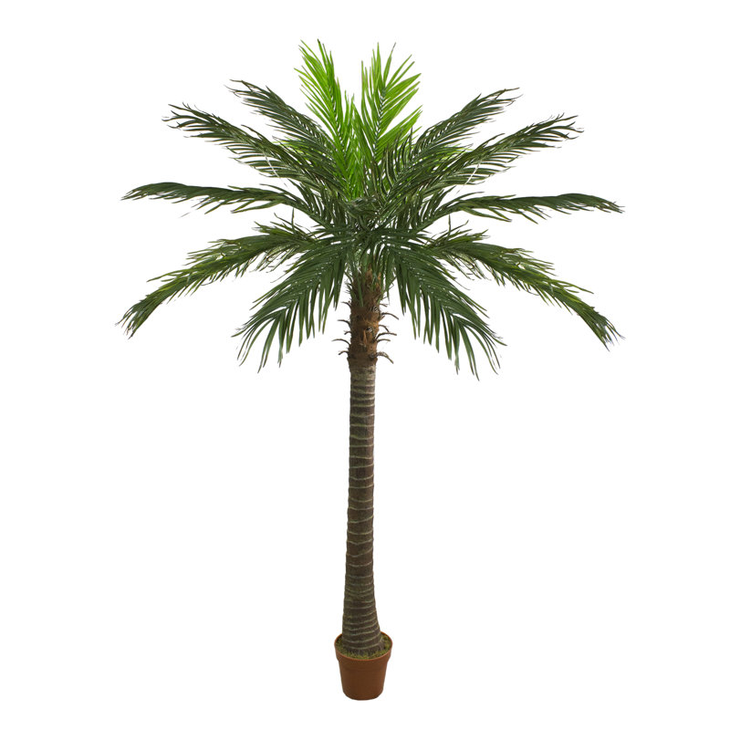 Tropical Elegance 7.5' Unlit Phoenix Palm Tree in Terracotta-Inspired Pot