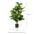 Amee 41.25" H Faux Fiddle Leaf Fig Tree in Pot