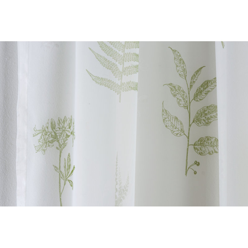 Tony Semi Sheer Curtain Single Panel, 145 W x 229 D cm, Green