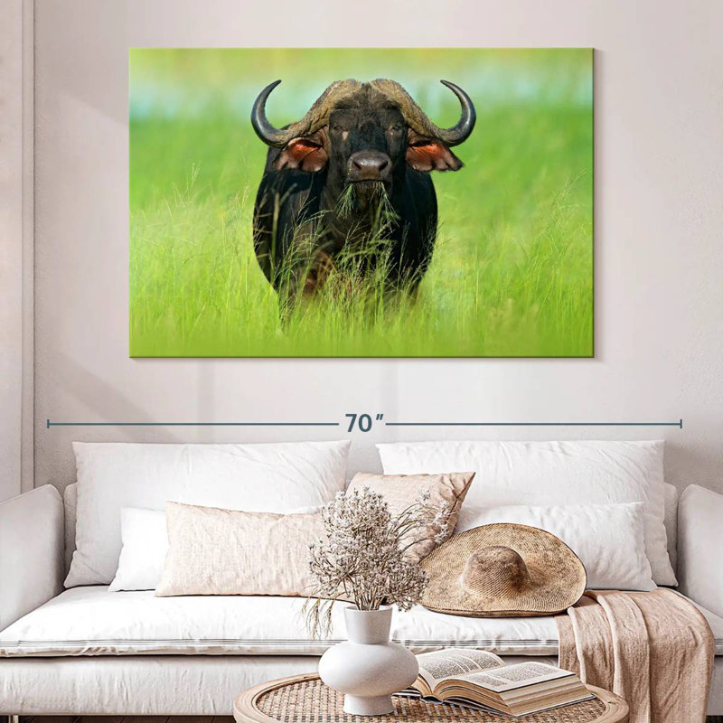 Manger du bison, H 34 po x l 51 po