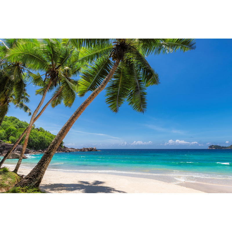 Paradise Sandy Beach With Coco Palm by Lucky-photographer - Wrapped Canvas Print, 30cm H x 46cm W x 3.8cm D