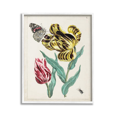 Rétro, nature et insectes, estampe numérique