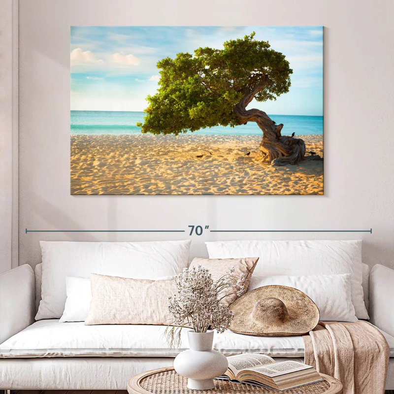 Arbre Gillard Divi-Divi à Aruba, H 34 po x l 51 po