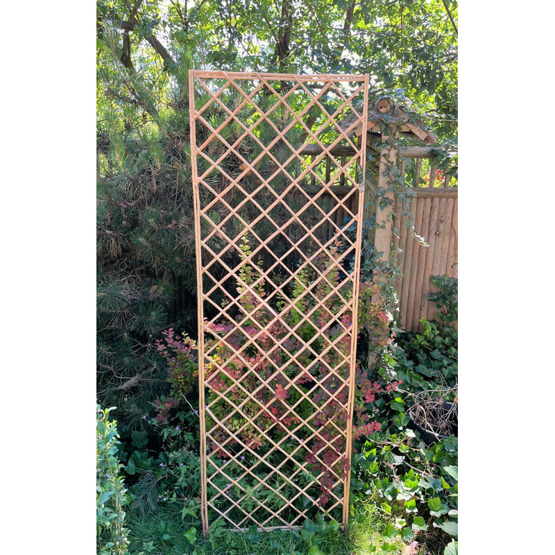 72'' Light Brown Willow Wood Lattice Trellis Panel