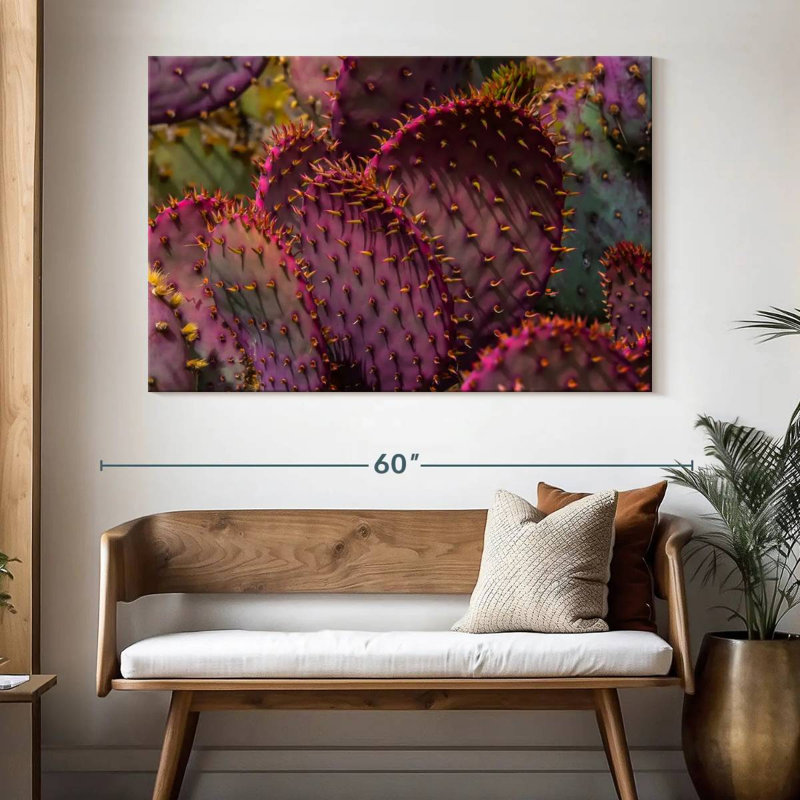 Harnek Angel Wing Cactus, 34" H x 51" W