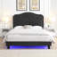 Structure de lit Windzer avec design incurvé - aucun sommier nécessaire - support de lattes en bois massif - assemblage facile - velours gris clair - lumières DEL sous le lit-264274540