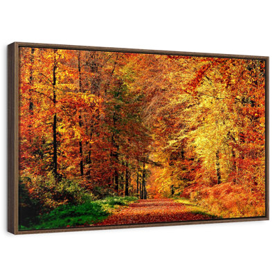 Chemin vers la forêt d'automne