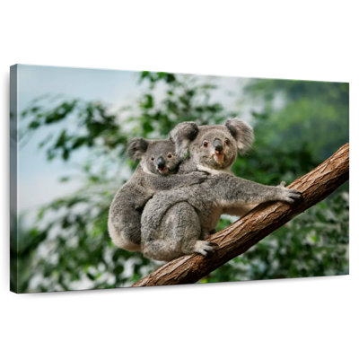 Koala Mother And Joey