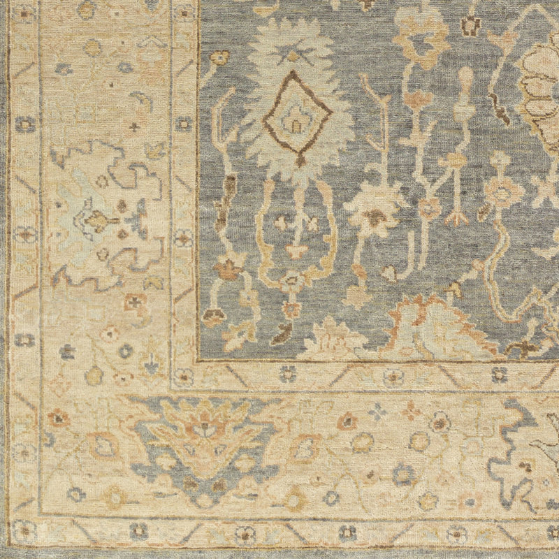 Daucourt Wool Oriental Area Rug, Rectangle 2' x 3'