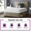 Fales Divan Bed Base-670719380-670719364-670719362