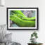 Green Mamba Snakes - Framed Print-62793533-62793534