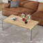 Sled Coffee Table with Storage