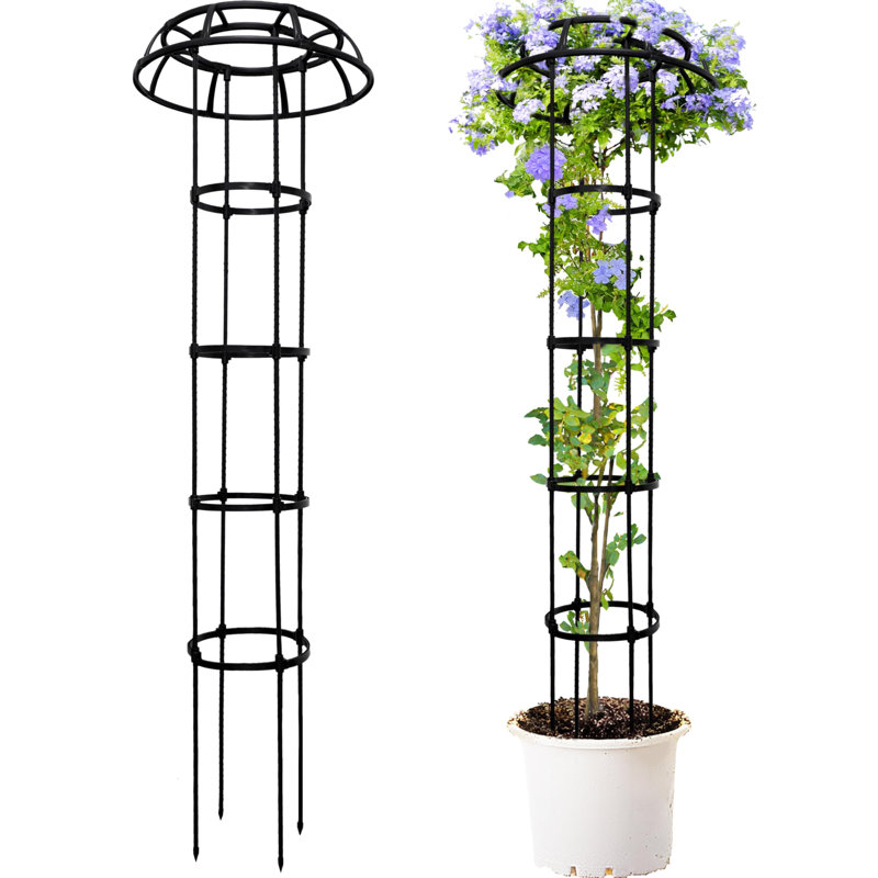 165cm H x 25.5cm W Metal Arched Trellis