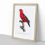 The Red Lory by F. Levaillant - Picture Frame Painting Print-55639820-55639821