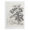 Vintage Landscape XIII -Canvas Print Only - NOT FRAMED
