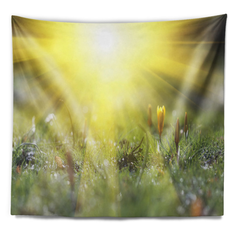 Paysage, coucher de soleil brillant au-dessus d'une tapisserie de fleurs printanières, H 68 po x l 80 po