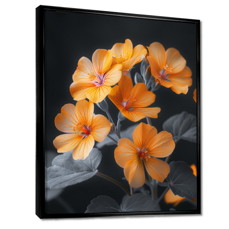 Salon d'art mural Gerardi - Geraniums, Cadre flottant noir, bois massif, H 16 po x l 32 po