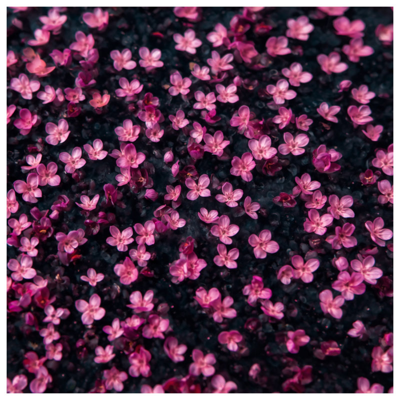 Édredon rose à petites fleurs, Simple extra long