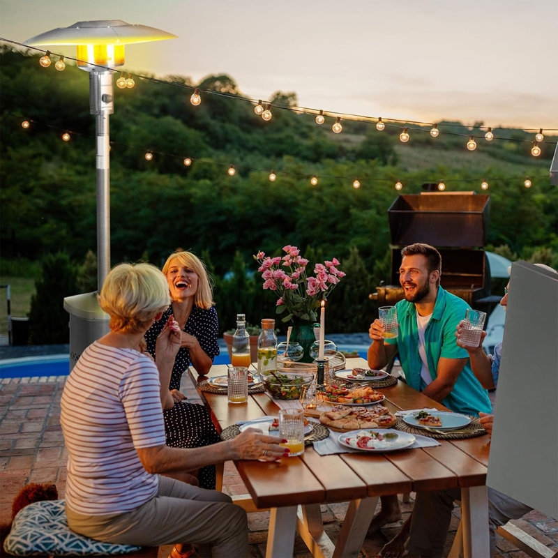 Bronze 40,000 BTU Propane Outdoor Patio Heater with Steel Body