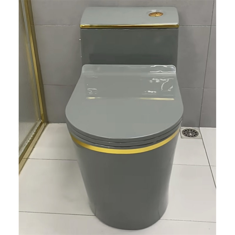 Dual-Flush Elongated One-Piece Toilet (Seat Included)