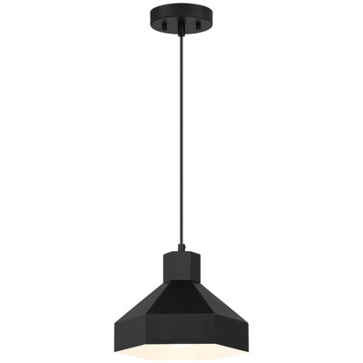 Leonhardt 1 Light Pendant